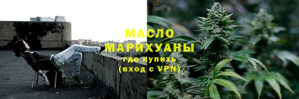 прущие грибы Вяземский