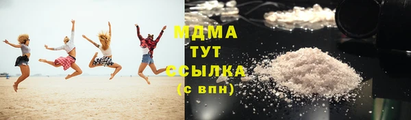 индика Гусь-Хрустальный