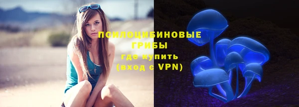 дмт Горнозаводск