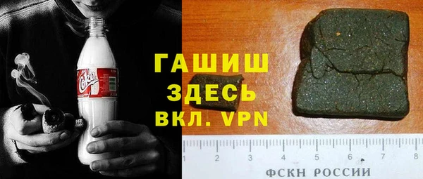 индика Гусь-Хрустальный