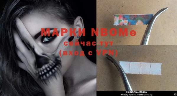 дмт Горнозаводск