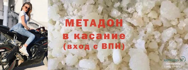индика Гусь-Хрустальный